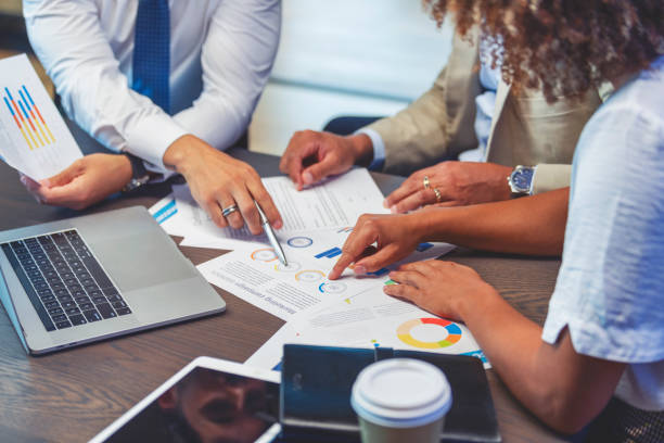Economic Advisory Professional
